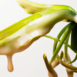 Pureology Nanoworks Gold Shampoo 266ml - Pureology