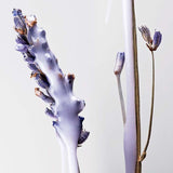 Pureology Hydrate Shampoo 266ml - Pureology